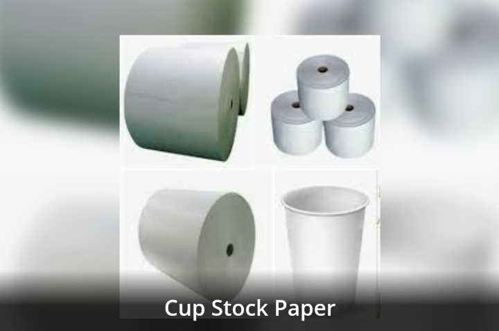 Food Grade Die-Cut Blank for Cups and Boxes